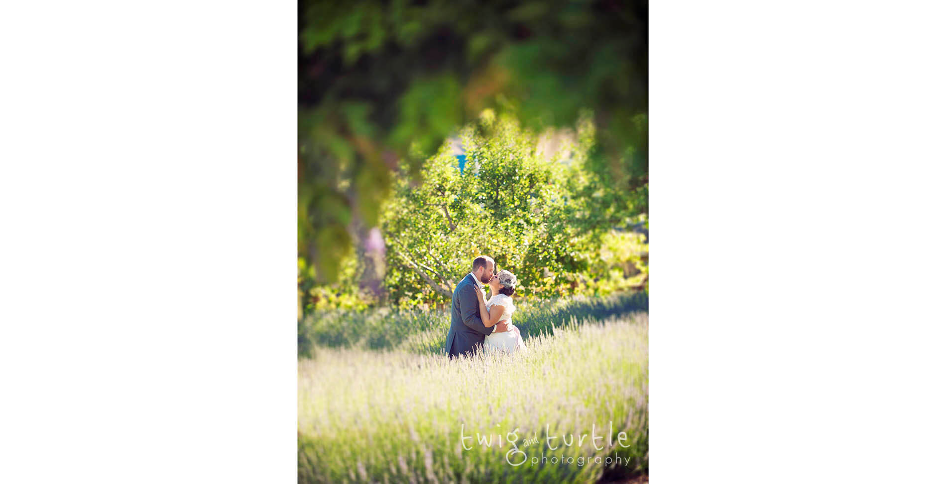 mc_lavender_ridge_wedding_0028