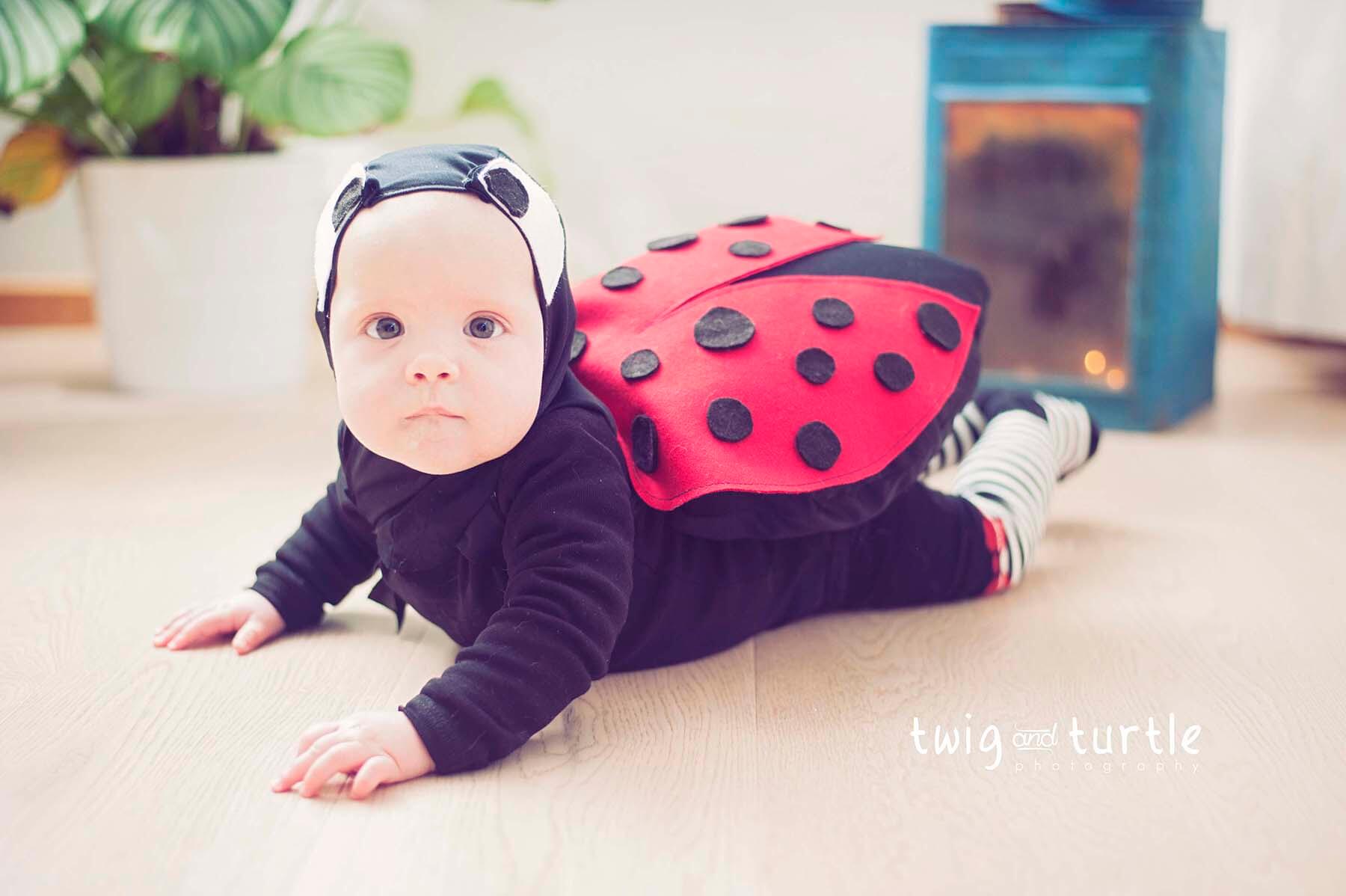 DIY Ladybug costume baby, family photographer Copenhagen, familie fotograf København
